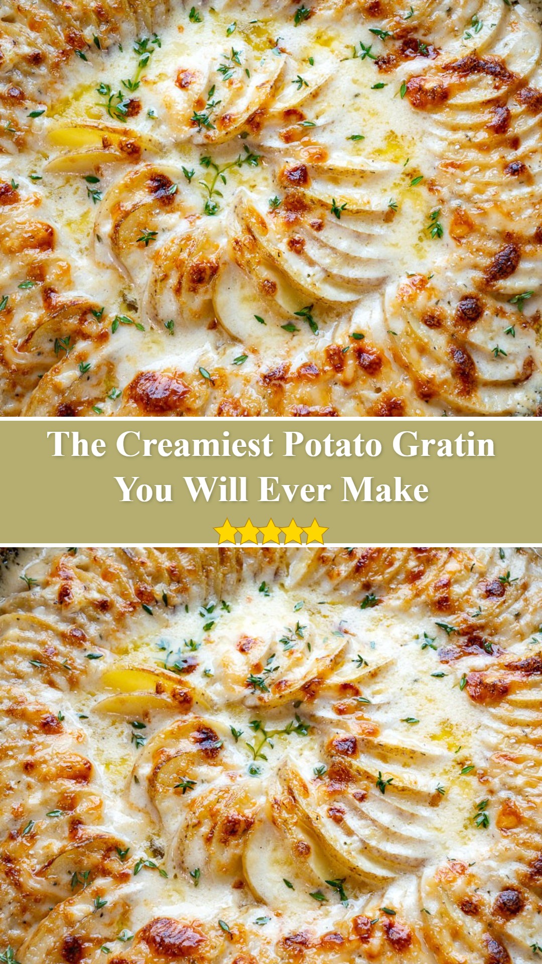 Potato Gratin